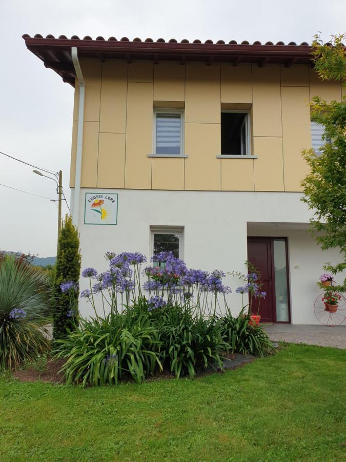 Gites Vue Montagne St Jean Pied De Port Pays Basque Saint-Jean-Pied-de-Port Εξωτερικό φωτογραφία